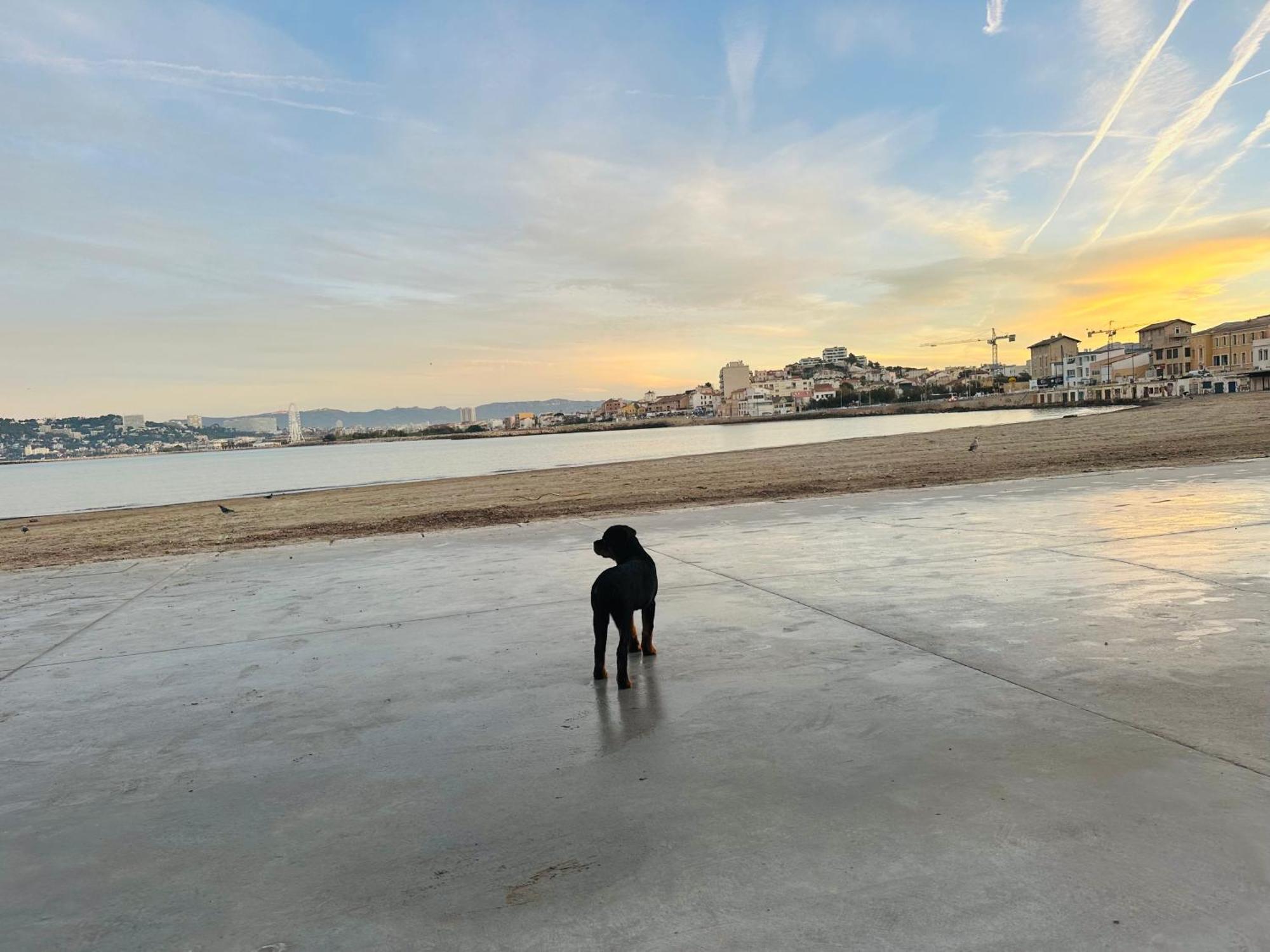 L'Enraguer Appartement Marseilles Buitenkant foto